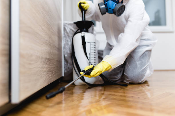 Best Local Pest Control Services  in Charter Oak, CA