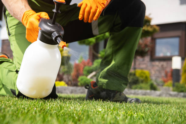 Best Termite Control Services  in Charter Oak, CA