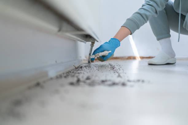 Professional Pest Control in Charter Oak, CA