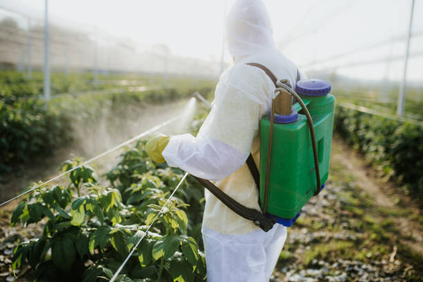 Best Best Pest Control Companies  in Charter Oak, CA